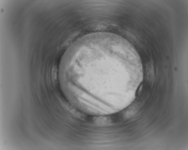 X0000079340230200612151916