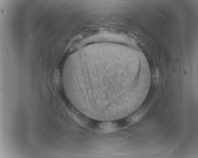 X0000079340231200612151916