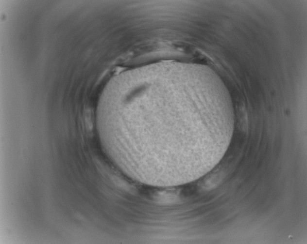 X0000079340232200612151916