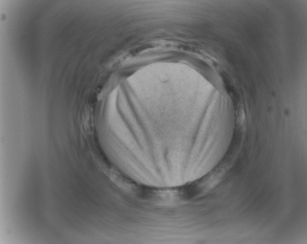 X0000079340233200612151916