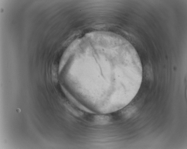 X0000079340234200612151916