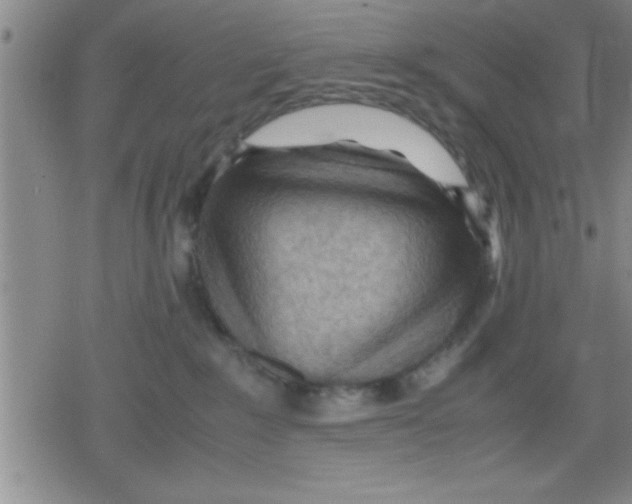 X0000079340235200612151916