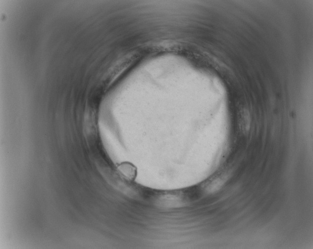 X0000079340236200612151916