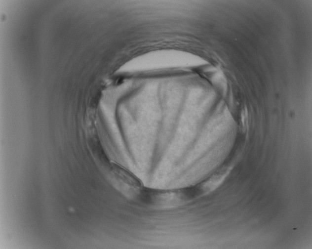 X0000079340237200612151915