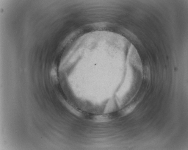 X0000079340238200612151915