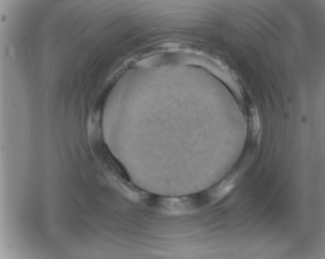 X0000079340239200612151915