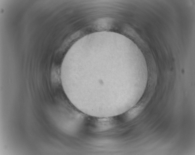 X0000079340240200612151915