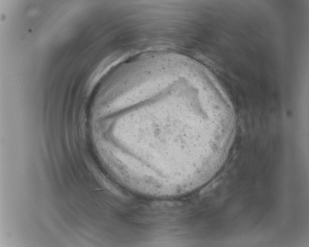 X0000079340242200612151915