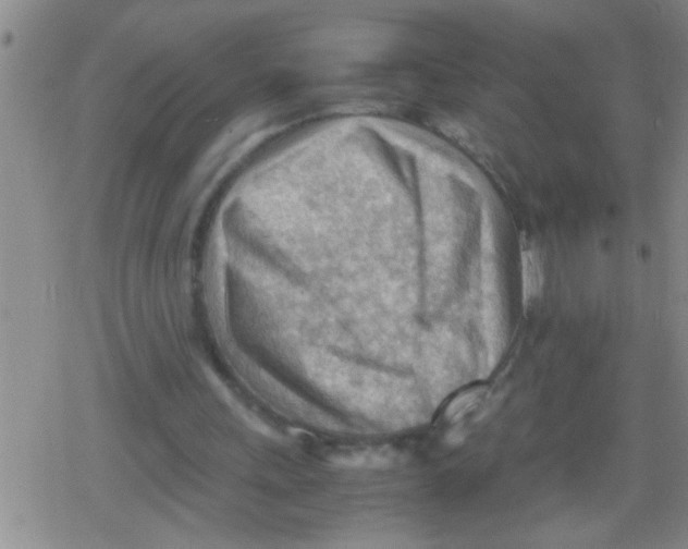 X0000079340243200612151915