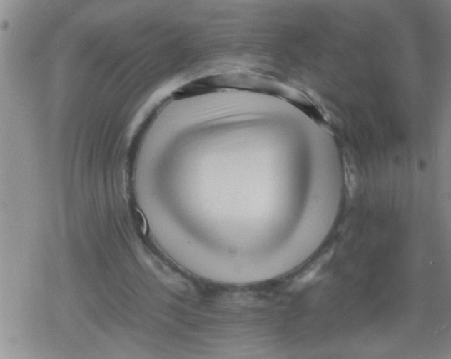 X0000079340244200612151915