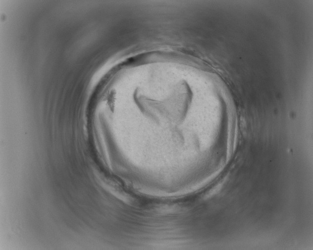 X0000079340246200612151915