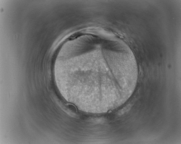 X0000079340247200612151915