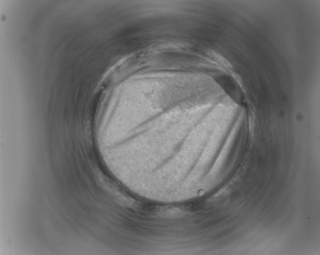 X0000079340249200612151915