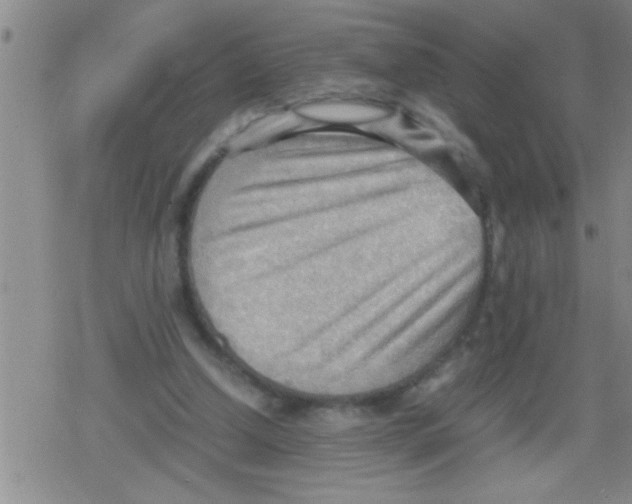 X0000079340250200612151915