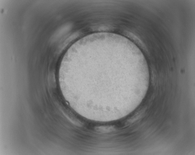 X0000079340251200612151915