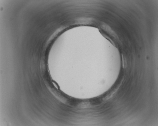 X0000079340252200612151915