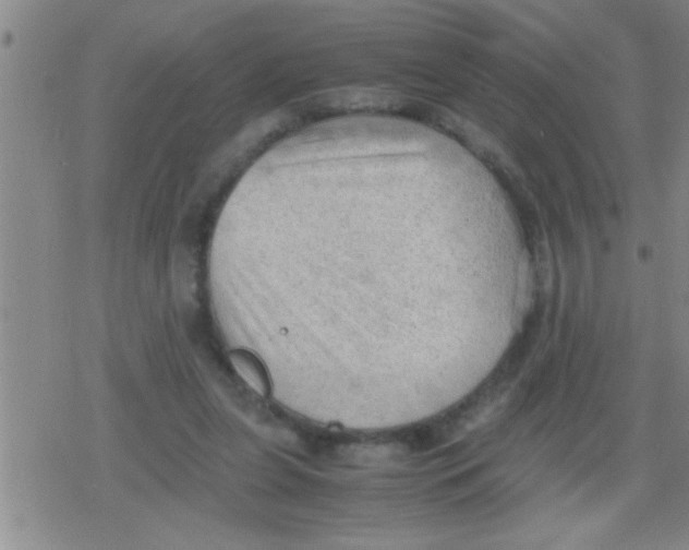 X0000079340255200612151915