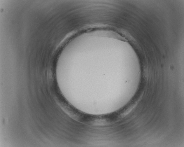 X0000079340256200612151915