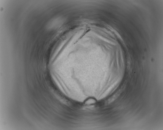 X0000079340257200612151915