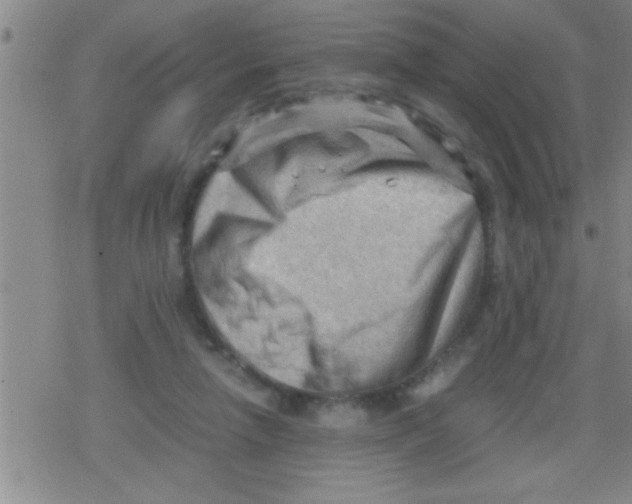 X0000079340258200612151915