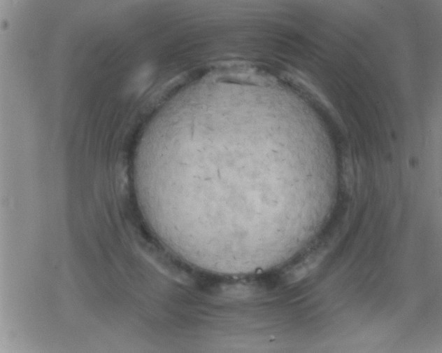 X0000079340259200612151915