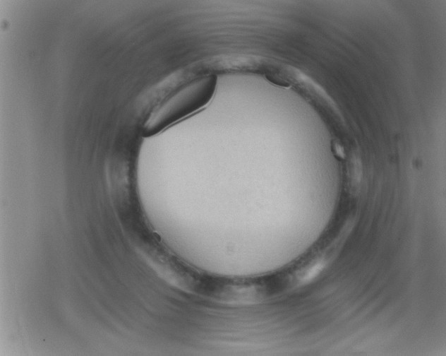 X0000079340260200612151915