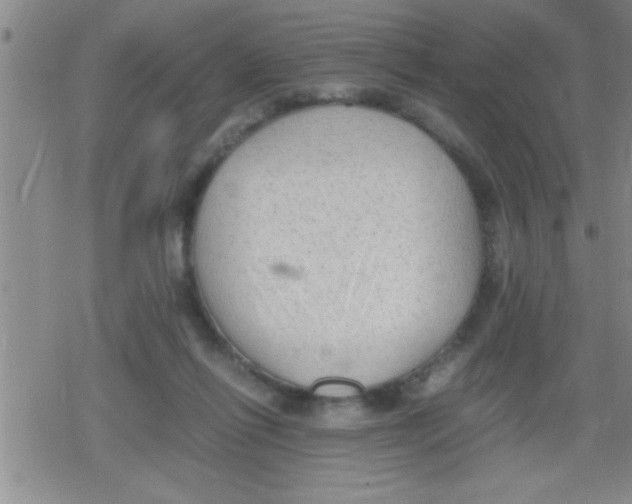 X0000079340262200612151915