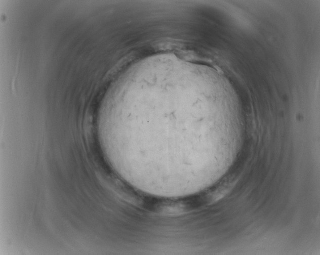 X0000079340263200612151915