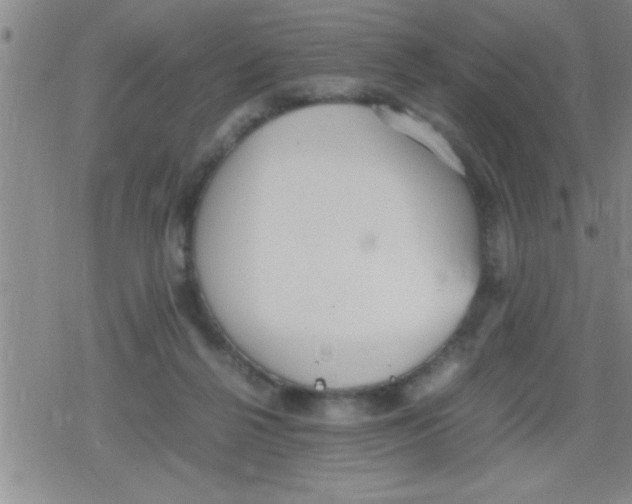 X0000079340264200612151915