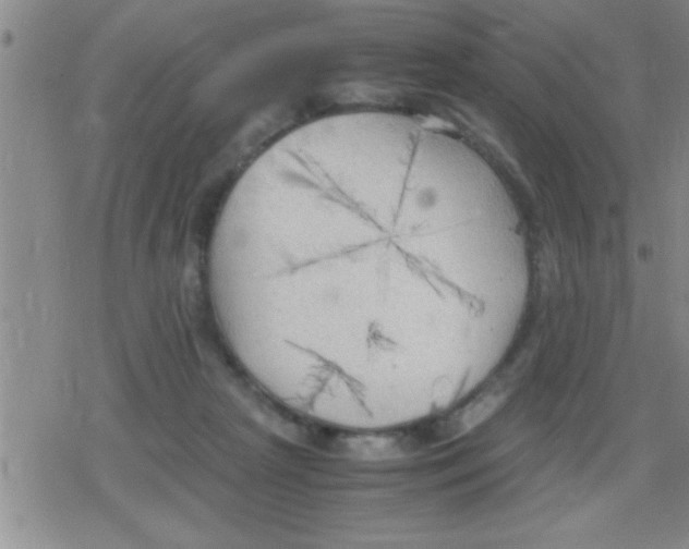 X0000079340265200612151915