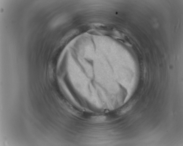 X0000079340266200612151915