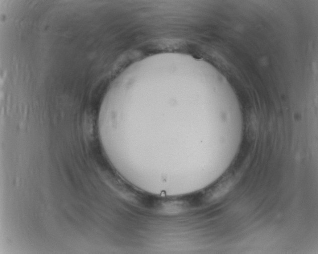 X0000079340268200612151915