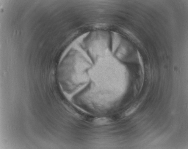 X0000079340269200612151915