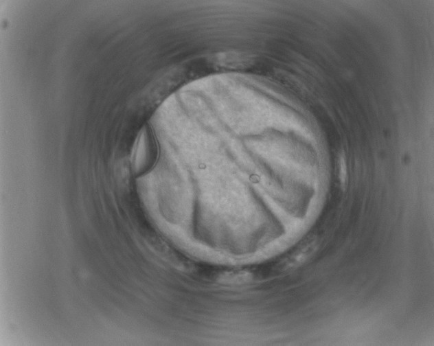 X0000079340271200612151915