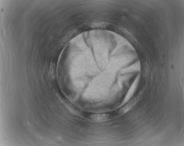 X0000079340273200612151915