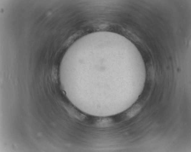 X0000079340274200612151915