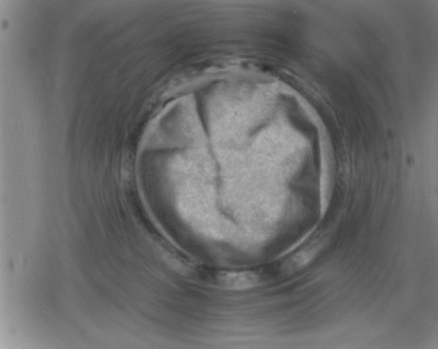 X0000079340277200612151915