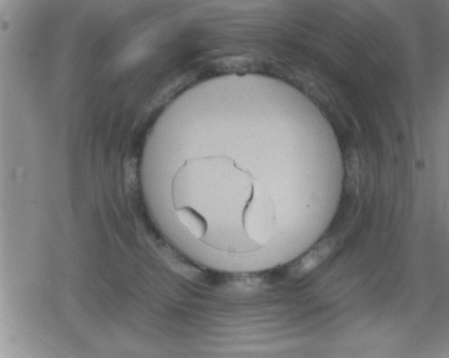 X0000079340278200612151915