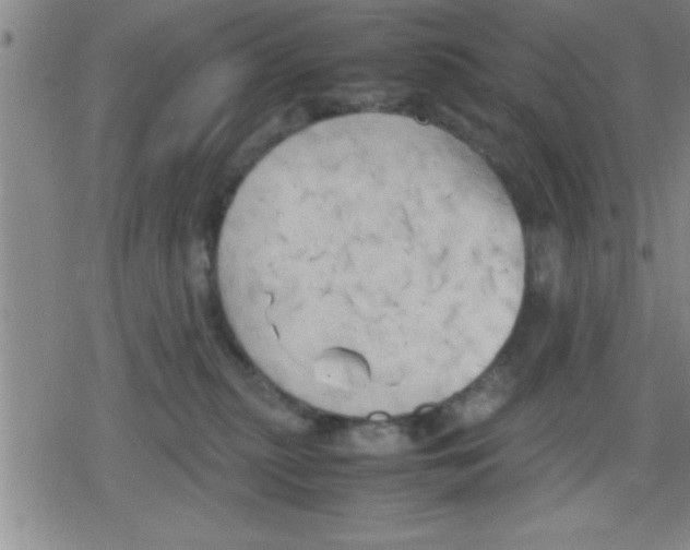 X0000079340279200612151915