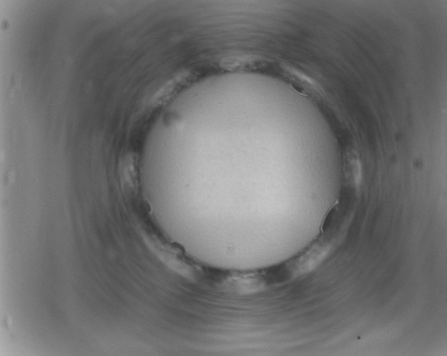 X0000079340280200612151915