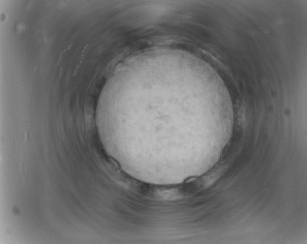 X0000079340283200612151915