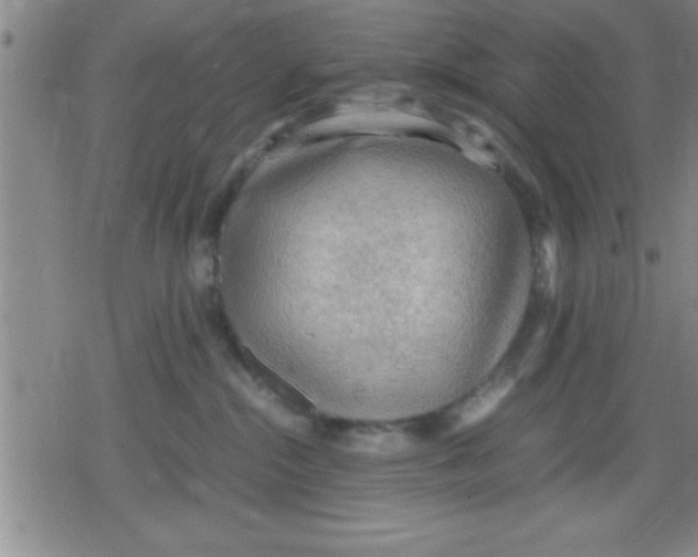 X0000079340284200612151915