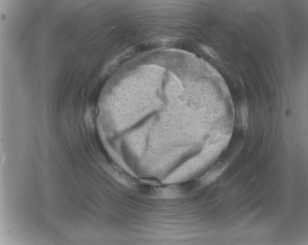 X0000079340286200612151915