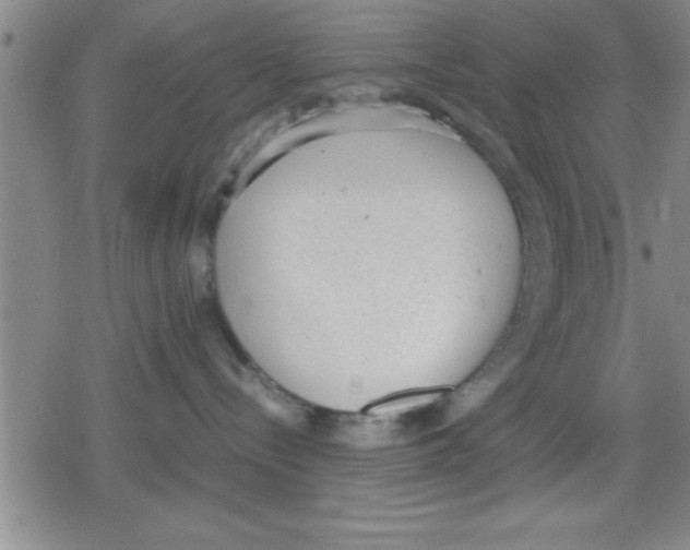 X0000079340288200612151915