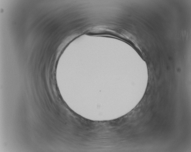 X0000079340289200612151915