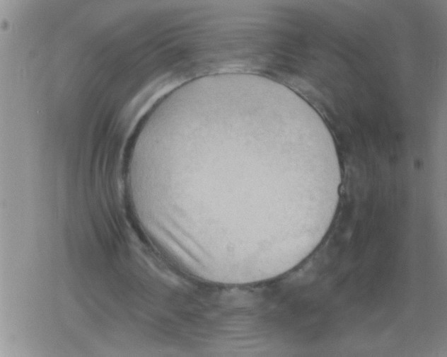 X0000079340290200612151915