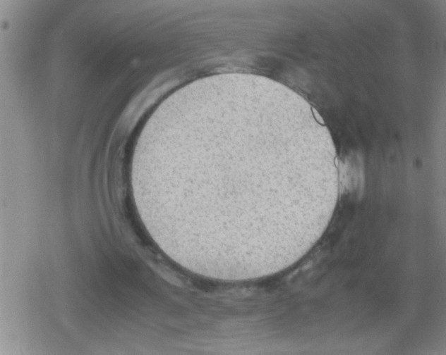 X0000079340291200612151915