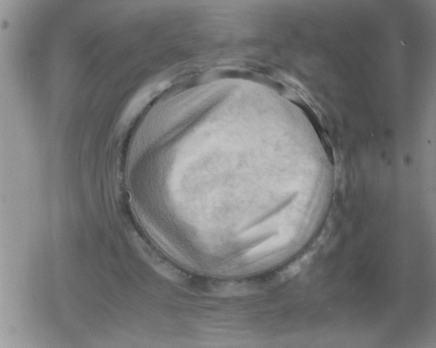 X0000079340293200612151915