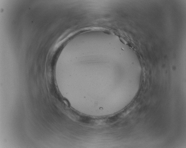 X0000079340295200612151915