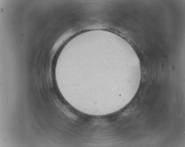 X0000079340296200612151915